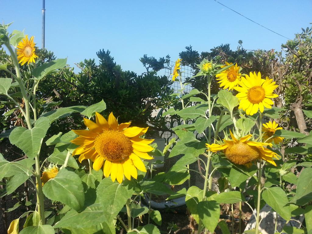 Gasthuis Il Girasole 3*